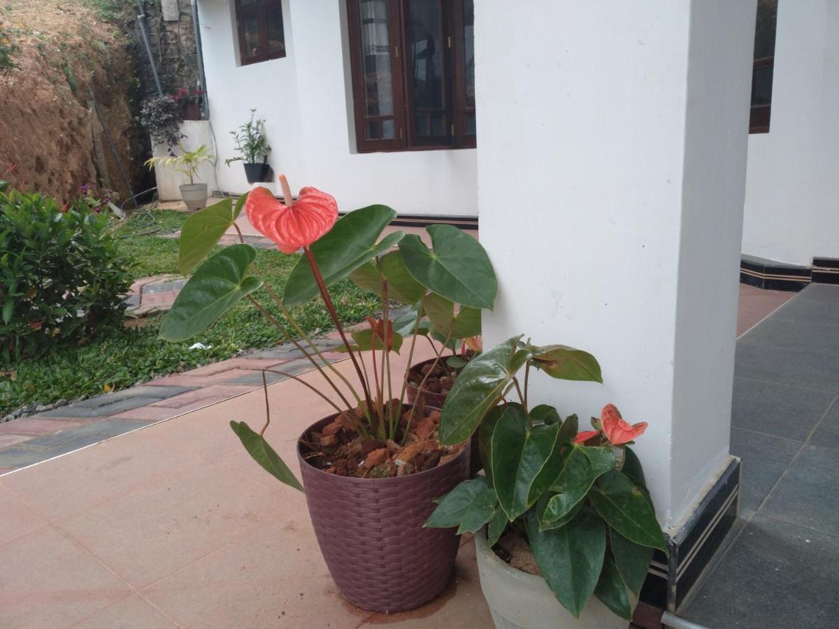 Holly House Homestay Ella Exteriör bild